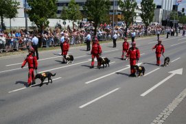 Fédération Nationale des Pompiers